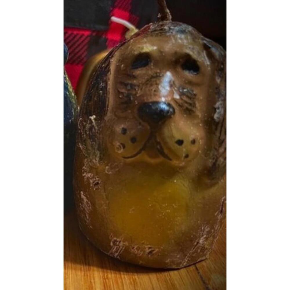 Hound dog bloodhound golden retriever pet lover funny oddities spooky candle